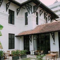 Cho Thuê Villa Thiết Kế Sân Vườn