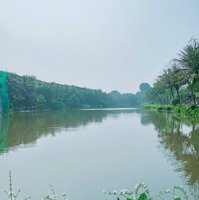 Bán Biệt Thự Đảo Ecopark Văn Giang Hưng Yên 300M2 Hướng Hồ Đn Giá Bán 56 Tỷ View Đẹp. Liên Hệ: 0942974889