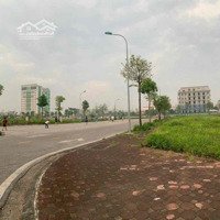 Bán Đất Đấu Giá