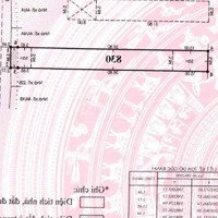 Bán Toà Nhà Chdvmặt Tiềntrần Thị Cờdiện Tích11X52 Gồm 6 Tầng Thu Nhập 275 Triệu/Th