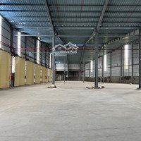 Kho Xưởng Từ 600M² Đến 4.000M² Có Pccc Tự Động, Mặt Tiền Ngang 126M