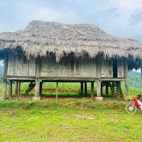 Gần 3000M(2919M2) View Này Mà K Làn Nghỉ Dưỡng Thì K Có Lô Thứ 2 Ạ