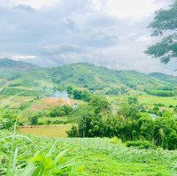 Gần 3000M(2919M2) View Này Mà K Làn Nghỉ Dưỡng Thì K Có Lô Thứ 2 Ạ