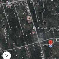 Đất Vườn Dừa Giá Rẻ Cách Sg65Km Mua Để Dành Dưỡng Già