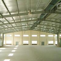 Cho Thuê 2000M2 Thuận Giao Giá 60K/M2