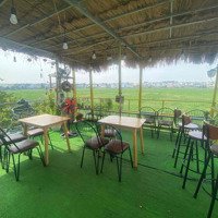 Cho Thuê Mặt Bằng Kinh Doanh Cafe, Đa Ngành Nghề