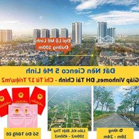 Chính Chủ Cần Bán Lk10 Khu A Cienco5 Mê Linh - Giá Rẻ Nhất Thị Trường