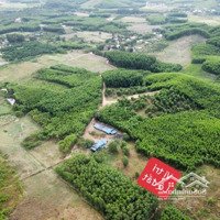Đất Lập Vườn Diên Xuân - Diên Khánh - Chỉ 195 Triệu/500M