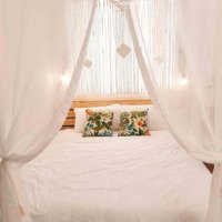 Căn Hộ Q1_Cầu Ông Lãnh_Thoáng_Rộng Rãi_Sạch Sẽ_Vintage_35M2_New_Fullnt