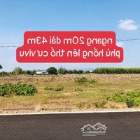 Bán Đất Sào Mặt Tiền Nhựa Rộng Giá Rẻ Nhất Khu Vực Huyện Đất Đỏ