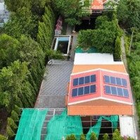 Giá Tốt_Bán Nhà Vườn Diện Tích Hơn 1000M2_Khuôn Viên Sân Vườn, Hồ Bơi Rộng Rãi_Phường 12