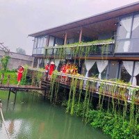 Homestay Đẹp Doanh Thu Cao Ngay Cạnh Hồ Eakao Giá Bán 17 Tỷ