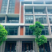 Siêu Phẩm Shophouse Phố Biển Vinhomes Ocean Park 3 64M2 Chỉ 8.4 Tỷ