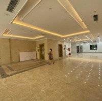 250M2 - Tầng 3 Tòa Building Số 59 Ngô Thì Nhậm - Đủ Pccc - Sáng Đẹp - Sịn Sò - 70 Triệu/Th