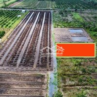 Đất Vườn Giá Rẻ Ven Sài Gòn(50Km)Khu Vực Tiềm Năng Phát Triển Mạnh