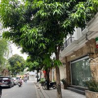 Bán Shophouse Mặt Đường Chi Lăng 93M2, Hoàng Huy Cầu Quay