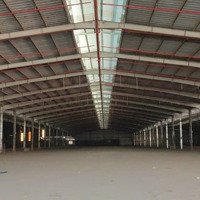 Cho Thuê Diện Tích Kho ,Xưởng Từ 5.000M2 Đến 18.000M2.Pccc Tự Động.giấy Tờ Đầy Đủ. Bình Dương