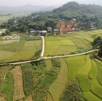 Chuyển Nhượng 1,5Ha Tại Lương Sơn Hoà Bình, Trong Đó Có 400 Ont, Giá Bán Chỉ Hơn 1 Triệu /M2