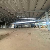 Cho Thue Vụ Sầu Kho + Sân Bãi 4000M2 Ccn Tân An