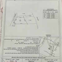 Bán 427M2(1337), Có 215M2 Thổ Cư, Cách Bãi Biển Long Hải 300M, Phù Hợp Xây Khách Sạn, Nhà Hàng..vv