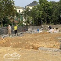 Chính Chủ Bán 274M2 Đất Thôn 1 Tân Hòa. Đường To, View Siêu Đẹp. Giá Đầu Tư