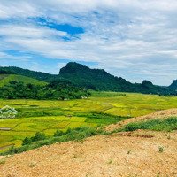 Siểu Phẩm! 9.225M2 View Panorama Toàn Cảnh Ruộng Bậc Thang! Đẹp Như Sapa Tại Lương Sơn - Hòa Bình