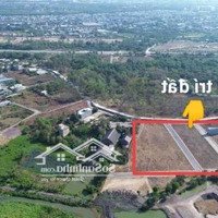 Đất Nền Trung Tâm Thành Phố Biên Hòa Ngay Tuyến Metro Kết Nối Vào Tp Hcm Giá Bán 1,3 Tỷ/Nền Sổ Sẵn