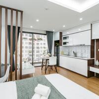 Chính chủ cho thuê Vinhomes D''Capitale: Căn Studio tầng 20 tòa C2, nhà mới, hướng đông nam