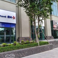 Chính Chủ Cho Thuê Shophouse Chân Đế Tòa Roman Plaza Mặt Đường Tố Hữu Lô Góc 145M Kd Cafe Giá 69 Triệu