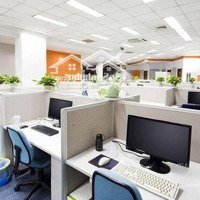 Cho Thuê Văn Phòng Tại 146 Trần Bình Đối Diện Dolphin Plaza, Nam Từ Liêm, Hà Nội