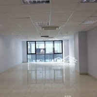 Cho Thuê Văn Phòng Tại 146 Trần Bình Đối Diện Dolphin Plaza, Nam Từ Liêm, Hà Nội