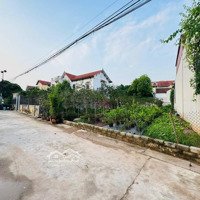 Cần Bán Nhanh 300M Đất Ab Quán Trạch Liên Nghĩa Văn Giang Hưng Yên 0385626846