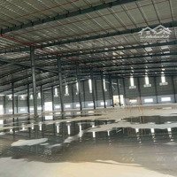 Cho Thuê Xưởng 11.000M² Trong Kcn Bầu Bàng Bd