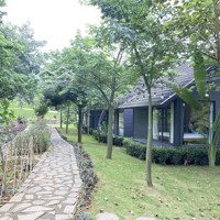 Bán Lô Góc 160M2, Sổ Hồng. Khu Thung Mây Resort, Ba Vì. Giá Bán 1,7Tỷ