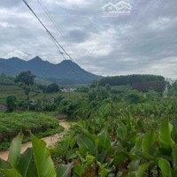 Mảnh Đất View Núi Siêu Đẹp Tại Thôn Đầm Sản, Xã Minh Quang, Ba Vì Diện Tích 1000M Giá Rẻ