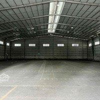 Cho Thuê Kho Bãi 3000M2 Gần Cảng Hoàng Diệu Cần Thơ