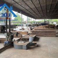 Cho Thuê Nhà Xưởng 11000M2 Xã Thiện Tân Vĩnh Cửu Chỉ 200 Triệu/Tháng