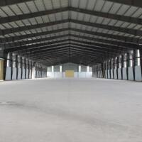 Cho thuê 5000m2, 10.000m2 đường Quốc Lộ 51, xã Long An, Long Thành, Đồng Nai