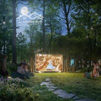 Blue Forest - Nơi Nuôi Dưỡng Tâm Hồn Trẻ Thơ Giữa 7 Tầng Thiên Nhiên