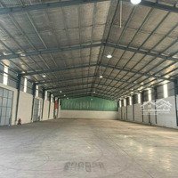 Cho Thuê Kho Quận Tb, Pccc Đầy Đủ, Công Tận Kho - 300, 500, 600, 800 - 2000M2