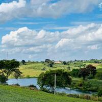 Lên giỏ một lô đất biệt thự siêu đẹp ngay hồ đồi chè Tâm Châu - thành phố Bảo Lộc.