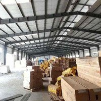 Cho Thuê Kho Xưởng Dg Nguyễn Văn Bứa Hóc Môndiện Tích8000M2 Pccc Giá 320 Triệu