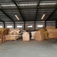 Cho Thuê Kho Xưởng Dg Nguyễn Văn Bứa Hóc Môndiện Tích8000M2 Pccc Giá 320 Triệu