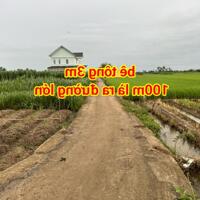 3,2 công đất - nhà vườn nghỉ dưỡng: có nhà, hồ bơi, ao cá, view sông nước, đường bêtông 3m, vườn cây trái đủ loại…. Gò Công Tây, TG