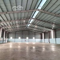 Cho Thuê 4500M Thạnh Phước Giá Bán 100 Triệuiệu