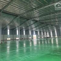 Cho thuê nhà xưởng KCN Bình Minh, Vĩnh Long. DT linh hoạt 5000m2 - 15.00m2