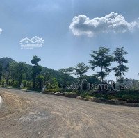 Còn 3 Suất Mua Ngoại Giao Tập Đoàn, Dự Án The Forest Villas Giá Rẻ