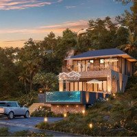 Còn 3 Suất Mua Ngoại Giao Tập Đoàn, Dự Án The Forest Villas Giá Rẻ