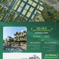 Xuất Hiện Sản Phẩm Triệu Đô Tại Eco Central Park - Thành Vinh Trung Tầng Marina