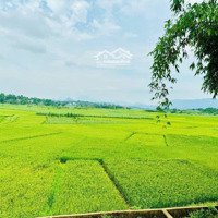 Chính Chủ Bán Gần 1000M Full Thổ Cư View Cánh Đồng Bao La Giá 7Xxtr